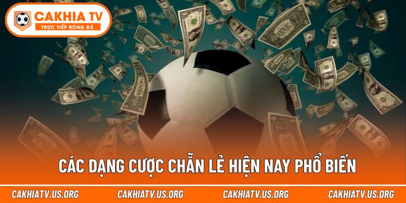 Các dạng cược chẵn lẻ hiện nay phổ biến
