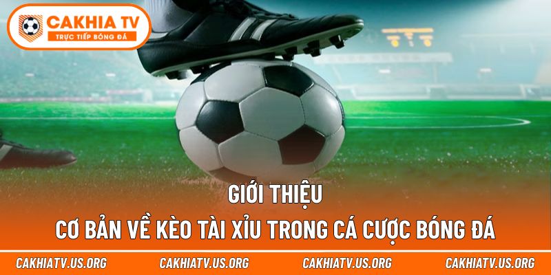 Giới thiệu cơ bản về kèo tài xỉu trong cá cược bóng đá