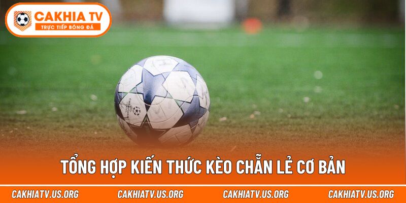 Tổng hợp kiến thức kèo chẵn lẻ cơ bản